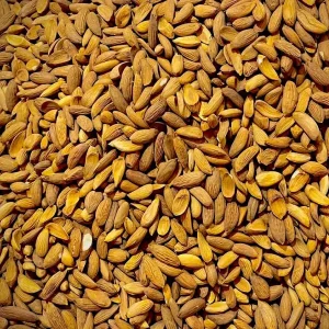 Almond